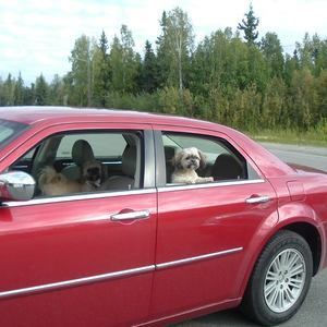 Meet your Posher, Pamela